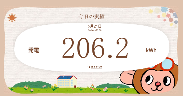 エコめがね