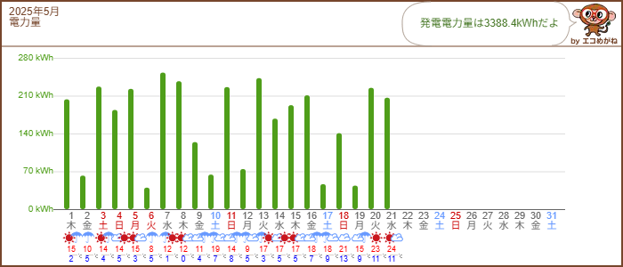 エコめがね