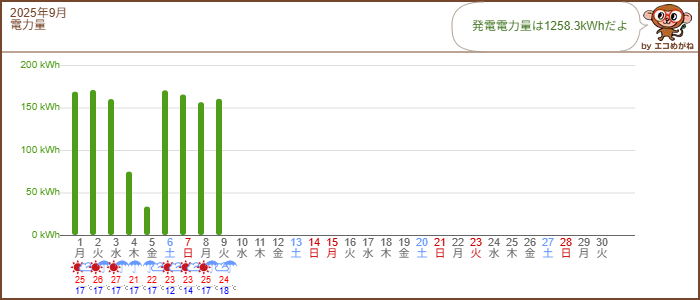 エコめがね
