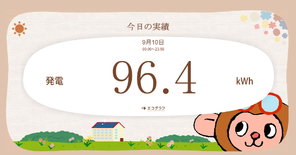 エコめがね